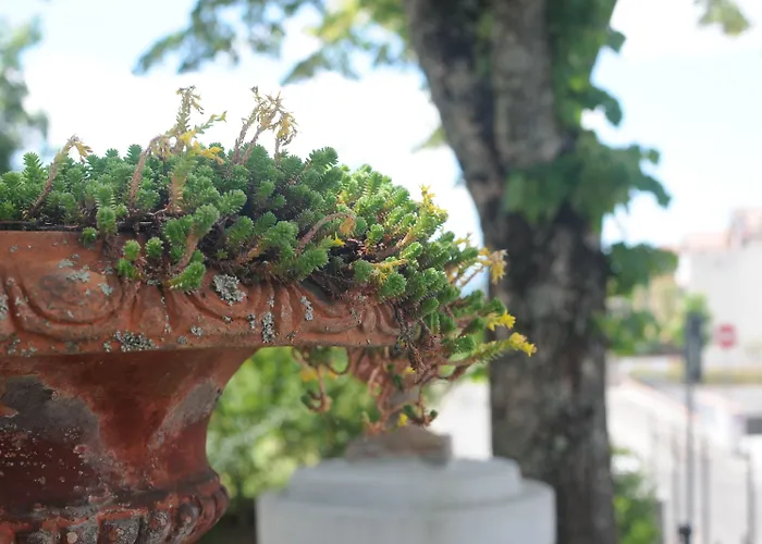 La Di Adele - Il Giardinetto לינה וארוחת בוקר סקרפריה