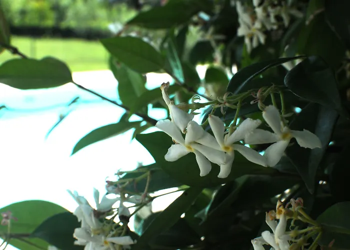 La Di Adele - Il Giardinetto לינה וארוחת בוקר 3*